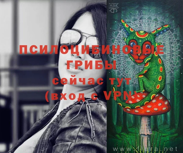 крисы Богданович