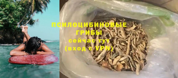 крисы Богданович