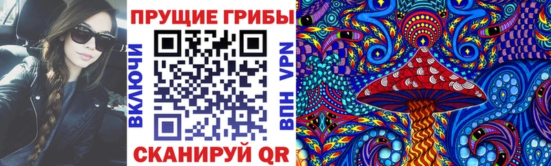 где найти наркотики  Люберцы  Галлюциногенные грибы GOLDEN TEACHER 